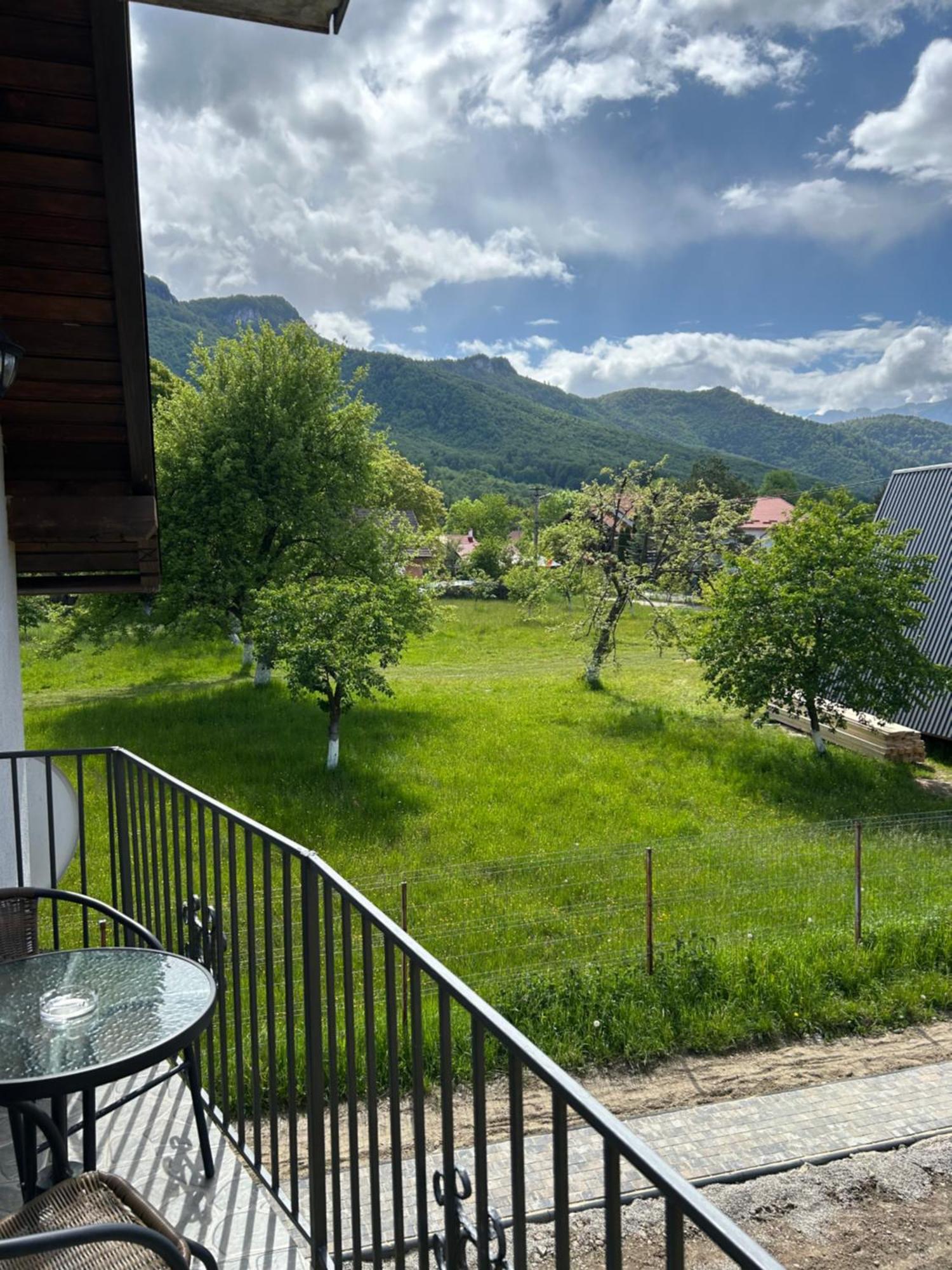 فيلا Casa Luca Ama Bran برانْ المظهر الخارجي الصورة